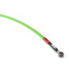 Green Hose